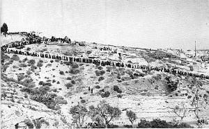 ORAN SANTA CRUZ (124)
